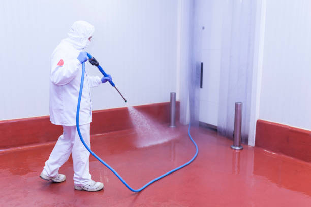 Best Deck and Patio Pressure Washing in Paisley, FL